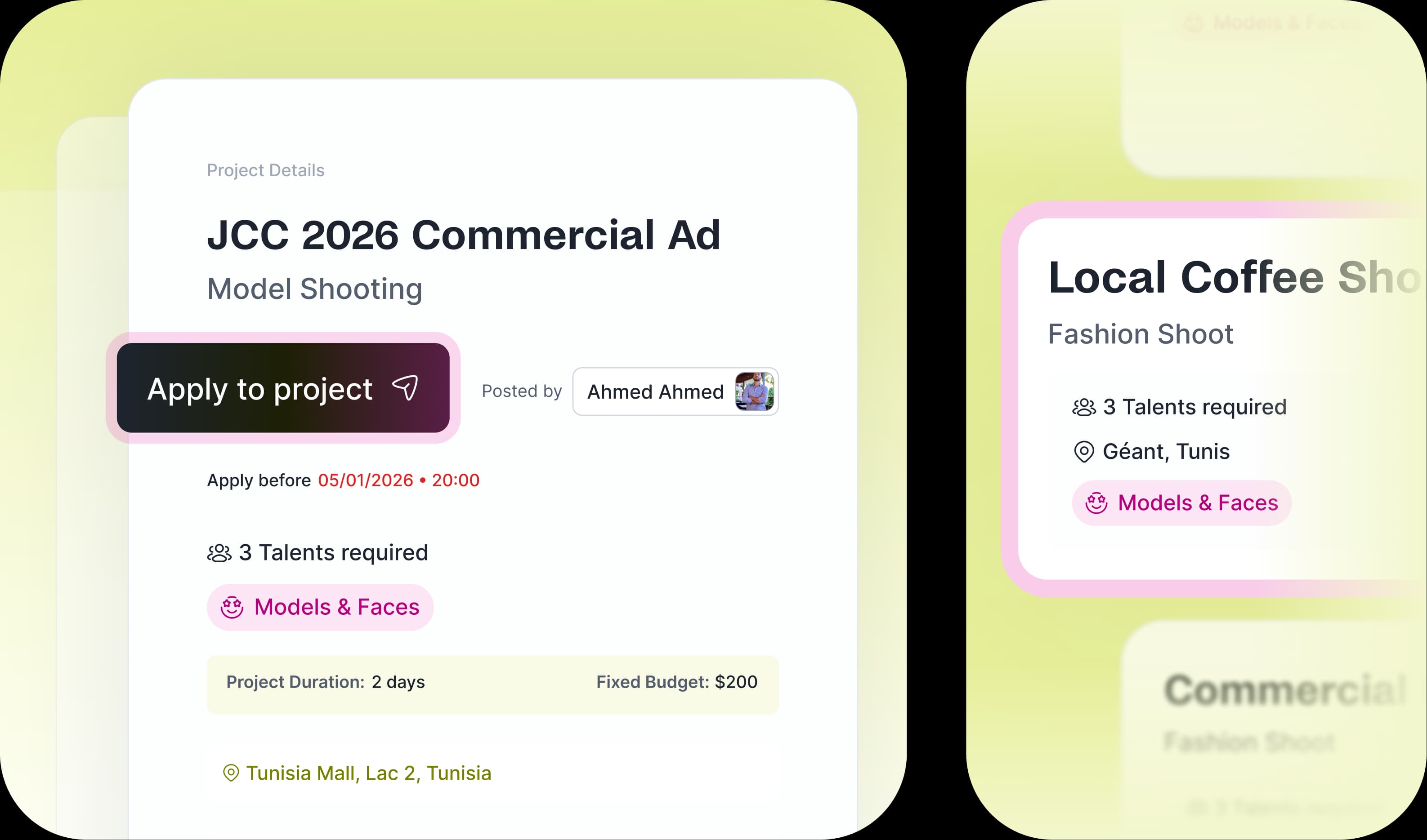 Apply step preview - project details